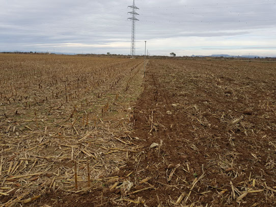 campo trabajado rastrojador rastrojador, chisel rastrojador