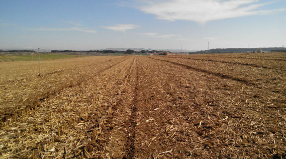 Déchaumeur à disques, dechaumeur, indépendants