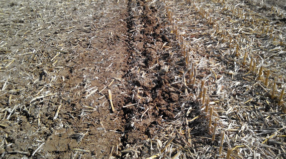 Déchaumeur à disques, dechaumeur, indépendants