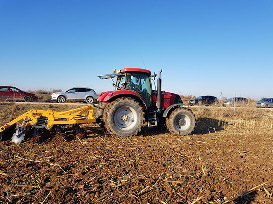 campo trabajado rastrojador rastrojador, chisel rastrojador