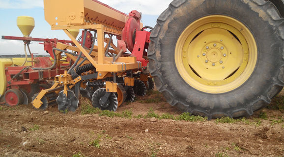 Strip Till, semis direct