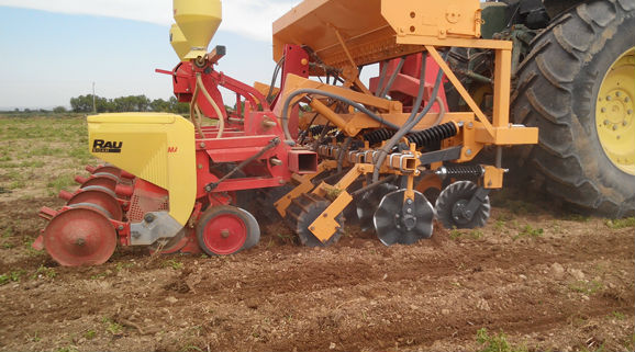 Strip Till, semis direct