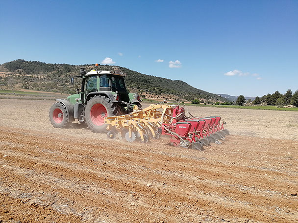 striptill con sembradora
